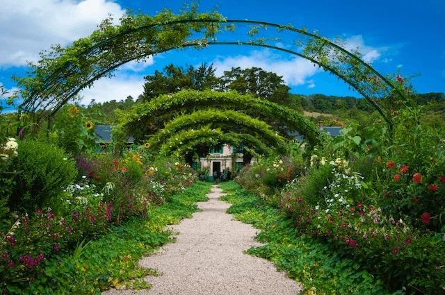 Garden (3)